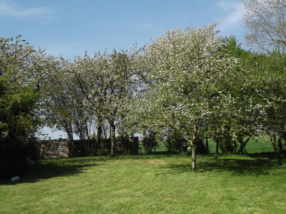 Au Bonheur Frontalier Bed & Breakfast Steenvoorde Luaran gambar
